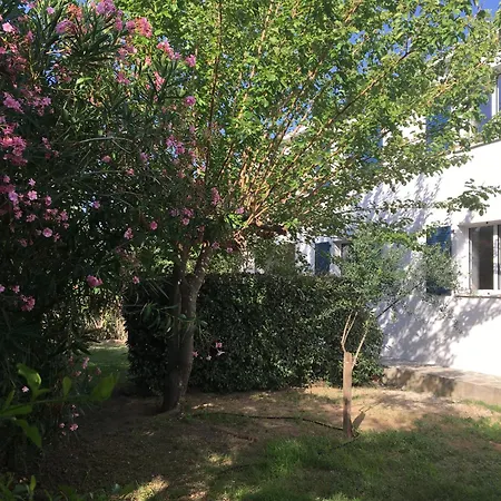 Les Muriers Apartman Calvi