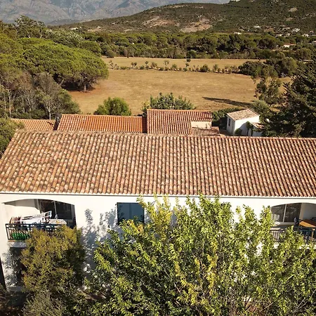 Les Muriers * Calvi