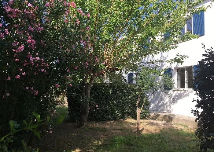 Les Muriers 公寓 卡尔维