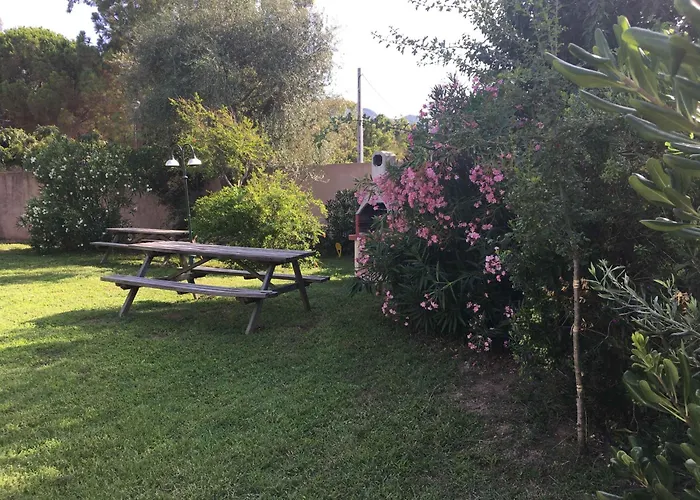 公寓 Les Muriers 卡尔维