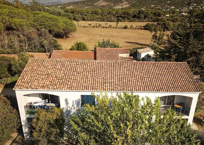 Les Muriers * 卡尔维